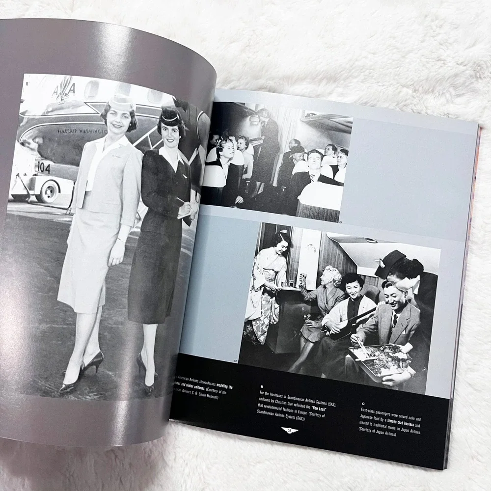 Come Fly with Us: A Global History of the Airline Hostess